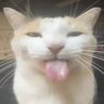 xvf's profile picture