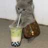 Profilbild von Y