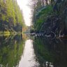 扇舞流云's profile picture
