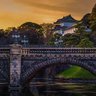 金子ようた profil fotoğrafı