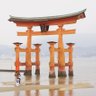 山崎ゆうき 的头像
