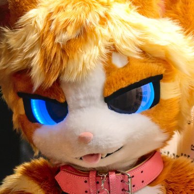 Waffles's profile picture