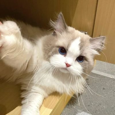 Wi ตัวปลอม (ตัวจริงอ่านนิยายอยู่)'s profile picture