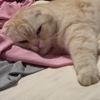 P’Pooh🥺✨'s profile picture