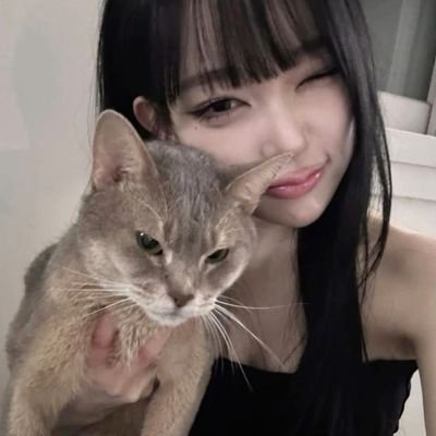Sakuraakv's profile picture