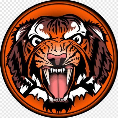 beholdfs's profile picture