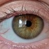 olhos de garapa profil fotoğrafı