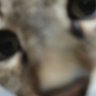 Profilbild von marela