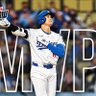 CM8sportscards's profile picture