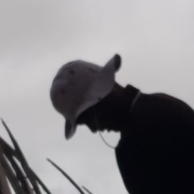 yaShipila's profile picture