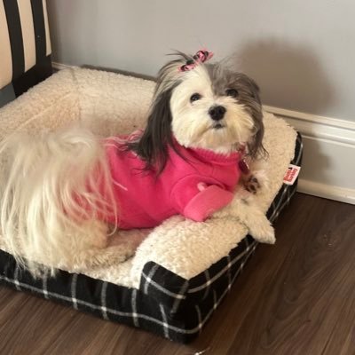 Olivia07059274's profile picture