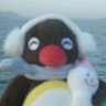 Profilbild von chopstix ❀ ⊹ ˚✩