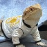 Bacon's profile picture