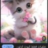 Amany Mohamed 的头像