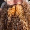 BanIncome4Congress's profile picture