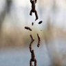 Expulsio_statim profil fotoğrafı
