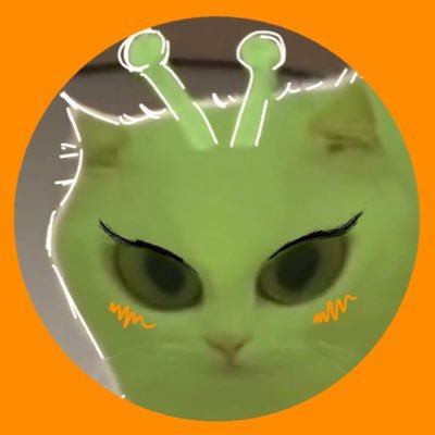 litlitlis's profile picture