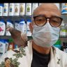 Profilbild von Milad Henin