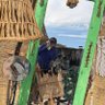 thenona profil fotoğrafı