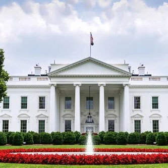 WHITE HOUSE's profile picture