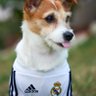 MGHero's profile picture
