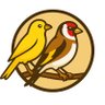 Фото профиля اكتشف المفيد