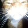 Val Gorsky's profile picture