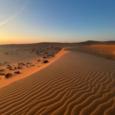 سنجار's profile picture