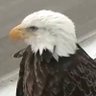 🙏❤️ Freedom's profile picture