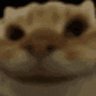 mrmeow 的头像
