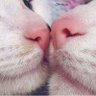 minnie 的头像