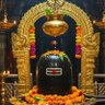 Фото профиля UMESH CHANDRA SRIVASTAVA