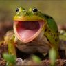 kekkel_bek the Ibunu's profile picture