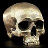Skull Of Alaric 的头像