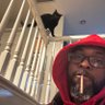 K-Steezie's profile picture