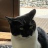 レオン profil fotoğrafı