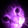 Profilbild von ᴍ ᗩ ɴ ᴜ