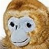 Profilbild von Hooman