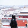 Фото профиля 只看不敢说啊