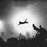 Sparrow River's profile picture