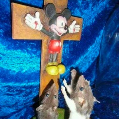 Momazos_Mickey's profile picture