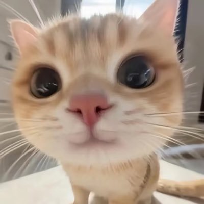 PopeyeW197452's profile picture