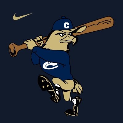 ClarionBaseball's profile picture