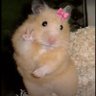 𝔚𝔢𝔫𝔡𝔶 profil fotoğrafı
