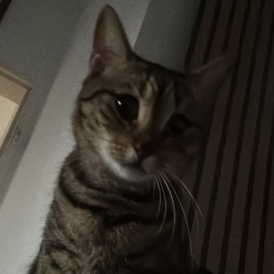 MuraModels's profile picture