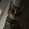 Mura's profile picture