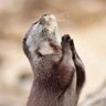 さぶろうた profil fotoğrafı