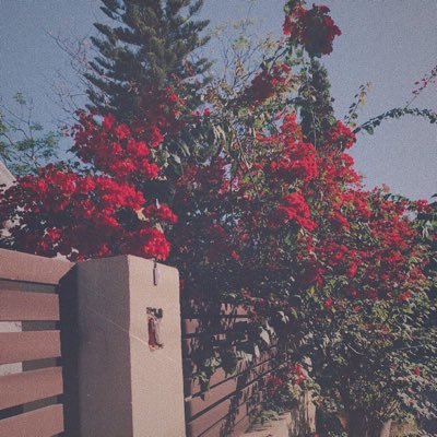 Joeyyybest's profile picture