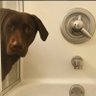 Profilbild von Dex