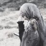 نوه‌ی ننه سیاره🪐🏴🚩's profile picture